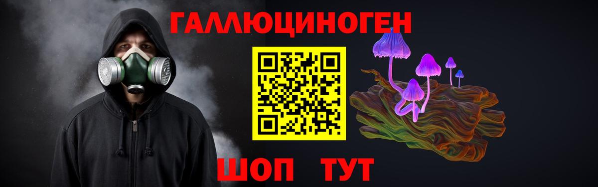 Псилоцибиновые грибы GOLDEN TEACHER  Галлюциногенные грибы Cubensis  Вход с VPN  Ростов-на-Дону 